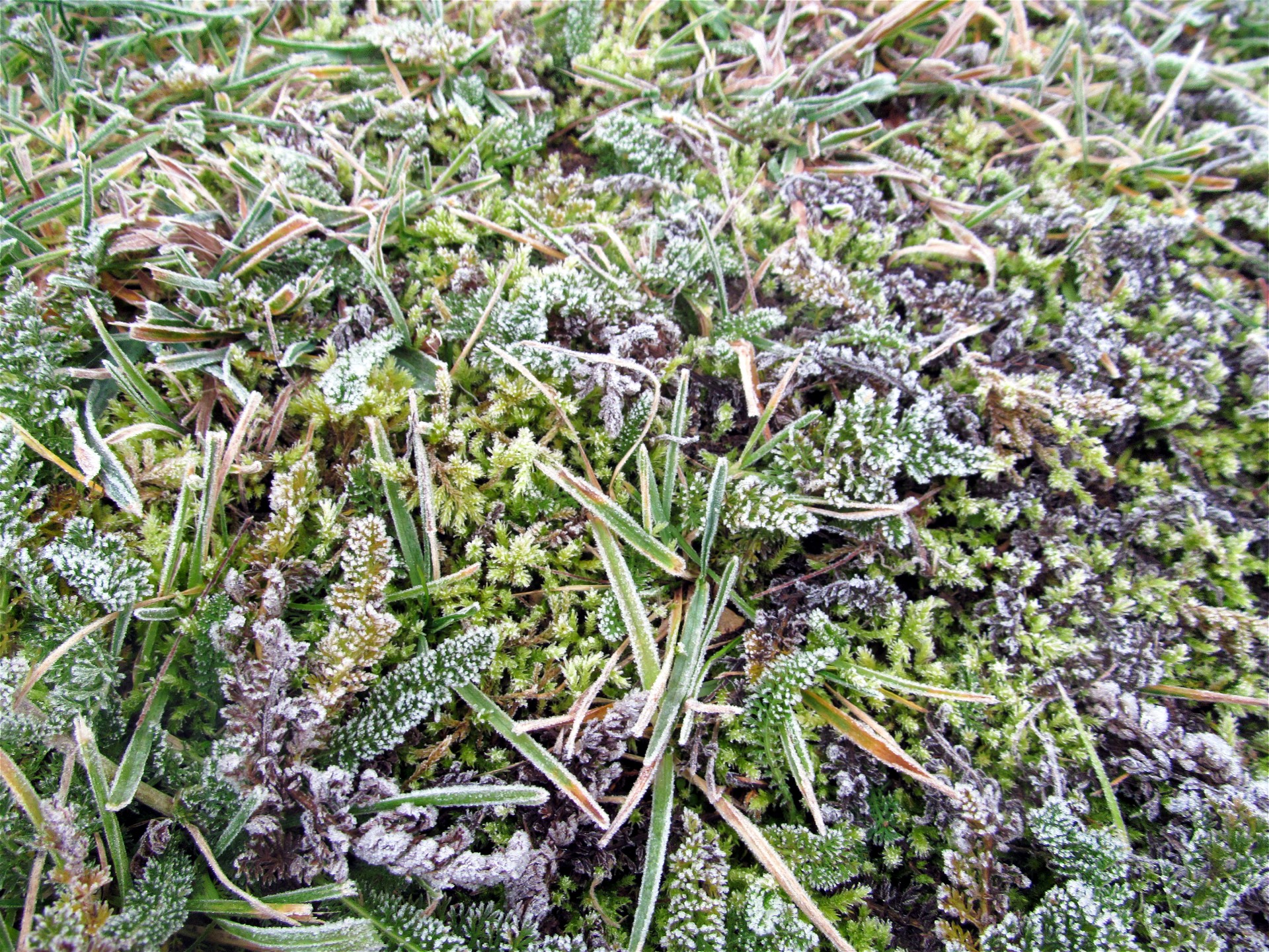 Bientôt l'hiver en Mirebellois et Fontenois ©M. Deline