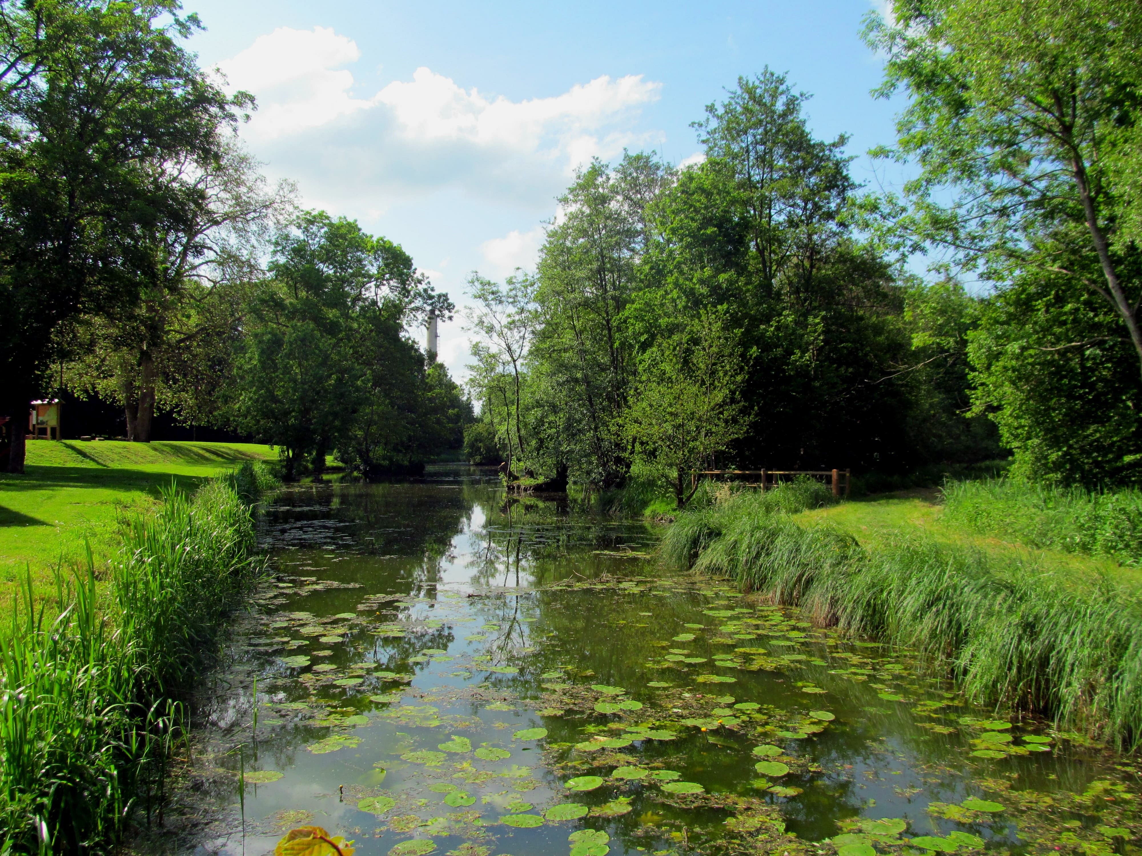 Vers les ruines de l’ancien château (11e s.), l’espace sensible du marais de la Rosière