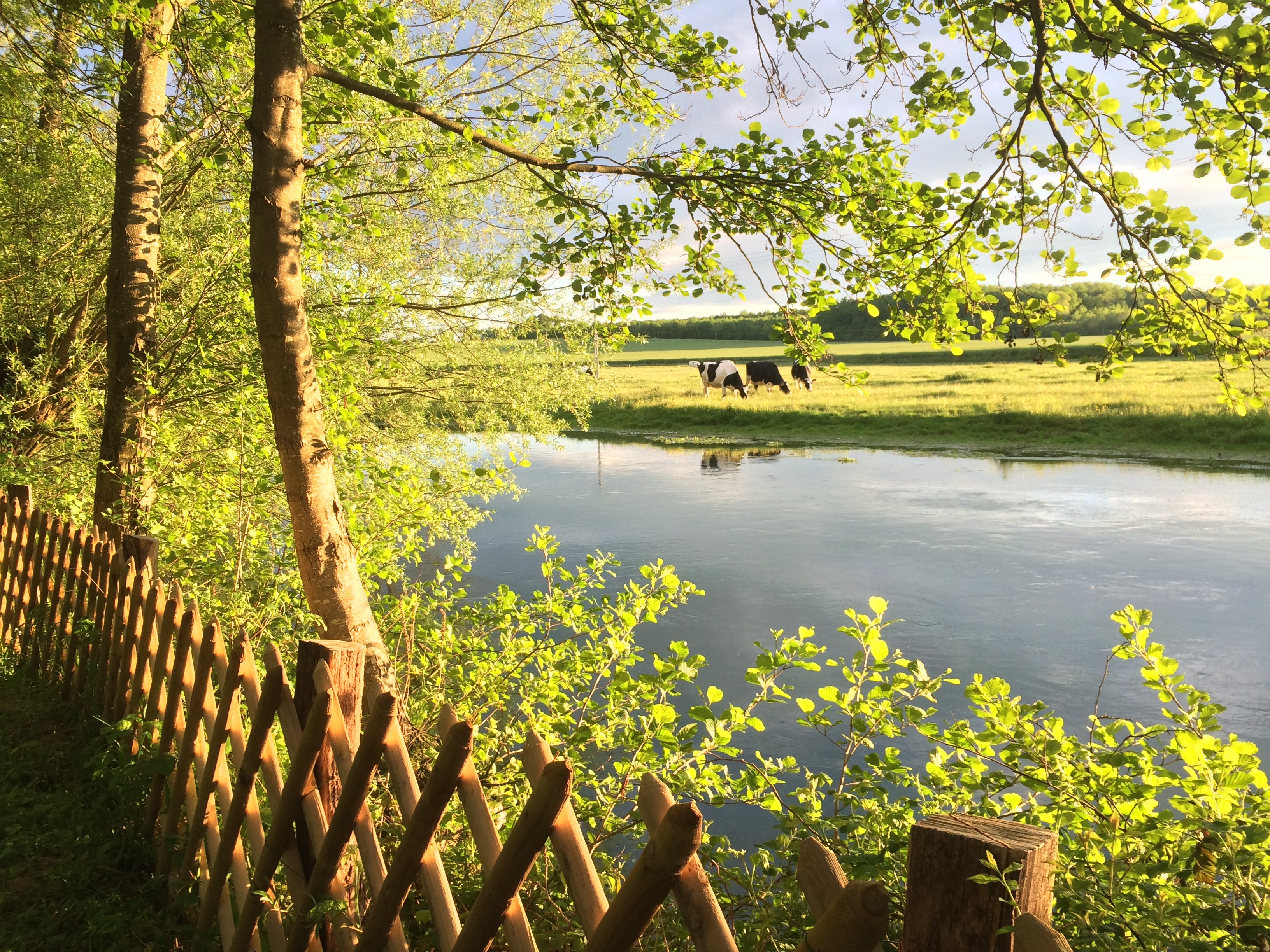 L'eau à Noiron-sur-Bèze ©M. Trésillard
