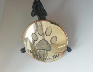 Plaque 1